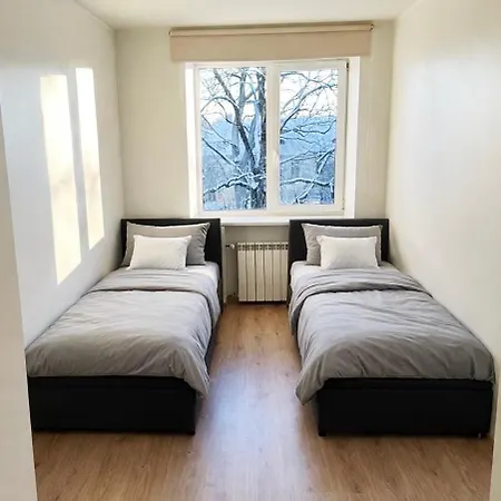 2 Bedroom Citycenter With Sauna And Free Privat Parking